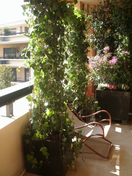 création de jardin en terrasse suspendue paysagiste avignon salon de provence aix en provence paca