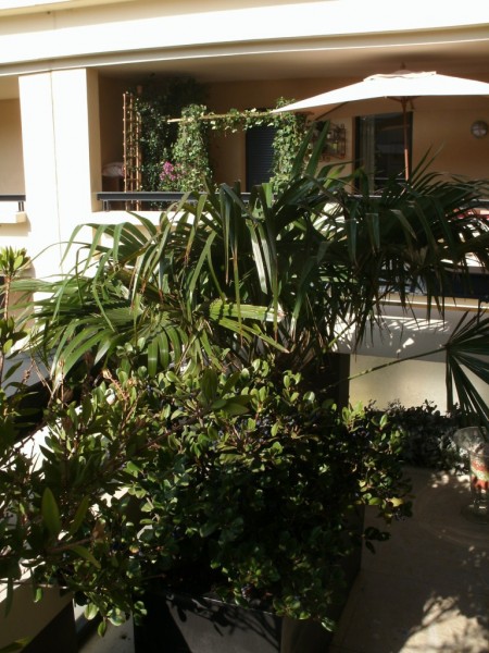 création de jardin en terrasse suspendue paysagiste avignon salon de provence aix en provence paca