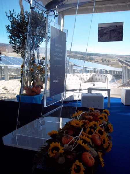 Location de décoration florales et de plantes pour salon, exposition, inauguration, Vaucluse