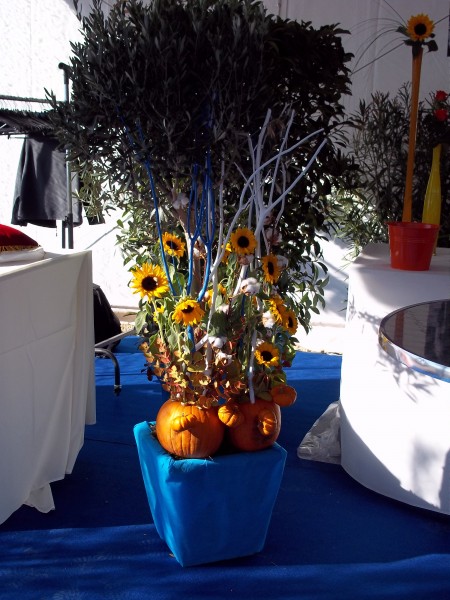 Location de décoration florales et de plantes pour salon, exposition, inauguration, Vaucluse