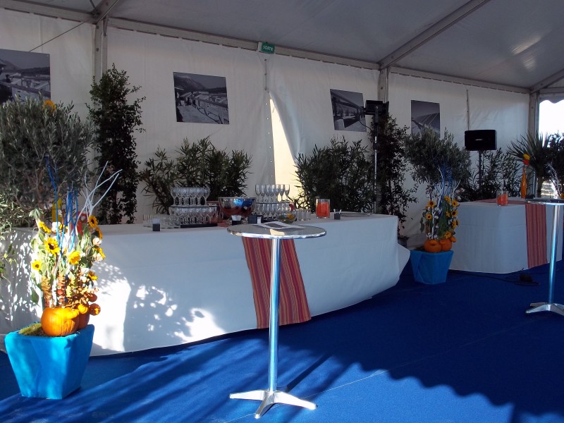 Location de décoration florales et de plantes pour salon, exposition, inauguration, Vaucluse