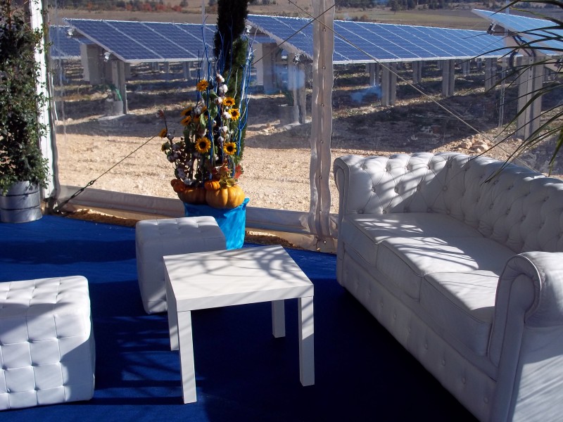 Location de décoration florales et de plantes pour salon, exposition, inauguration, Vaucluse