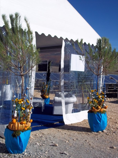 Location de décoration florales et de plantes pour salon, exposition, inauguration, Vaucluse