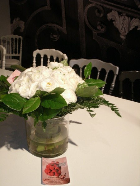 Location de décoration florale et de plantes pour stand festival Iles des Embiez Cassis St Tropez