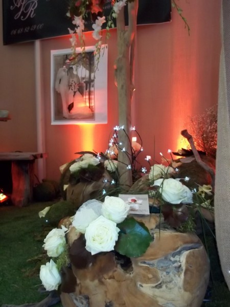 Création florale et végétale naturelle de scène et stand pour salon Vitrolles