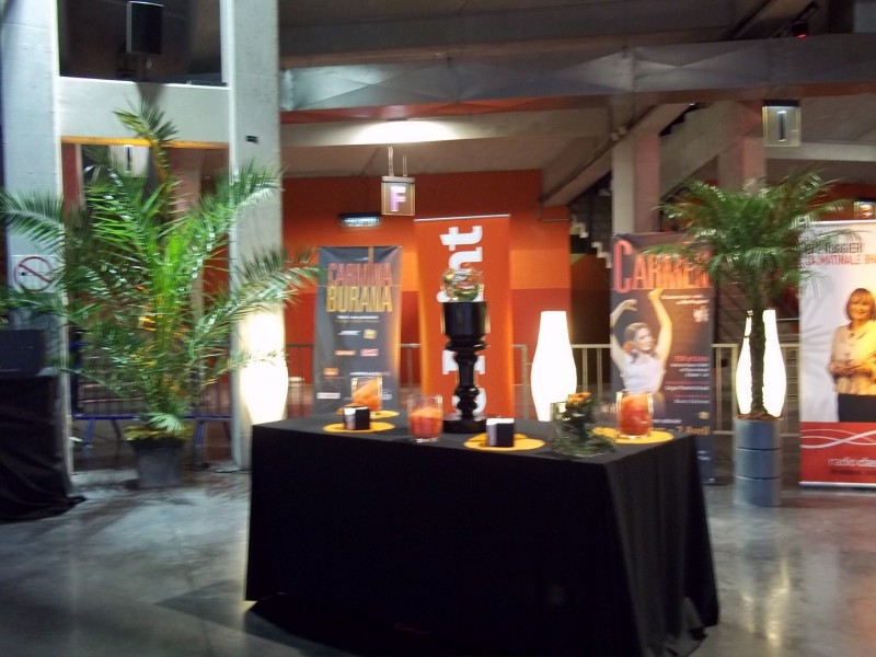 LOCATION  PLANTES FLEURS FESTIVAL OPERA SPECTACLE PACA MARSEILLE MONPTELLIER TOULOUSE