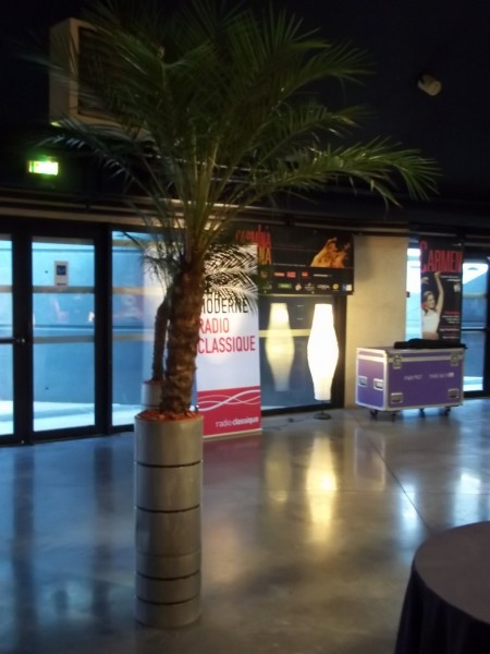 LOCATION  PLANTES FLEURS FESTIVAL OPERA SPECTACLE PACA MARSEILLE MONPTELLIER TOULOUSE