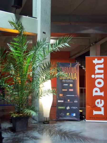 LOCATION  PLANTES FLEURS FESTIVAL OPERA SPECTACLE PACA MARSEILLE MONPTELLIER TOULOUSE