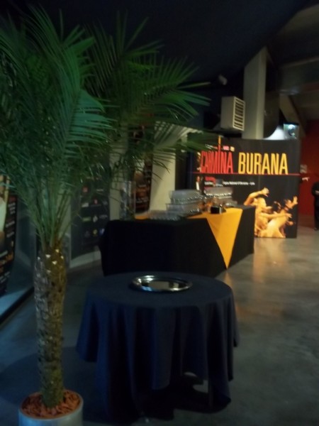 LOCATION  PLANTES FLEURS FESTIVAL OPERA SPECTACLE PACA MARSEILLE MONPTELLIER TOULOUSE