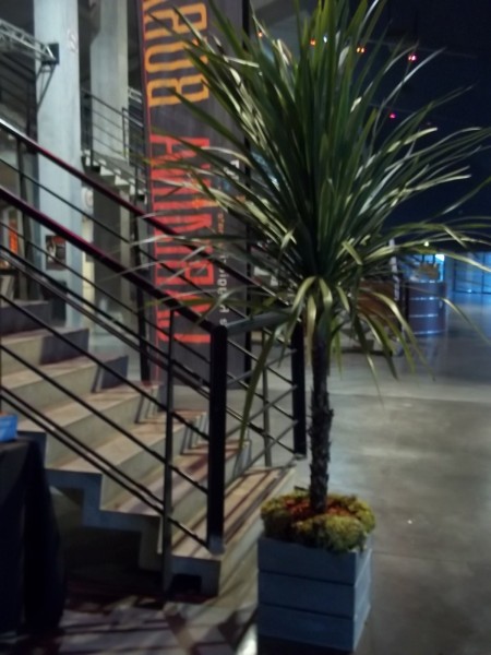 LOCATION  PLANTES FLEURS FESTIVAL OPERA SPECTACLE PACA MARSEILLE MONPTELLIER TOULOUSE