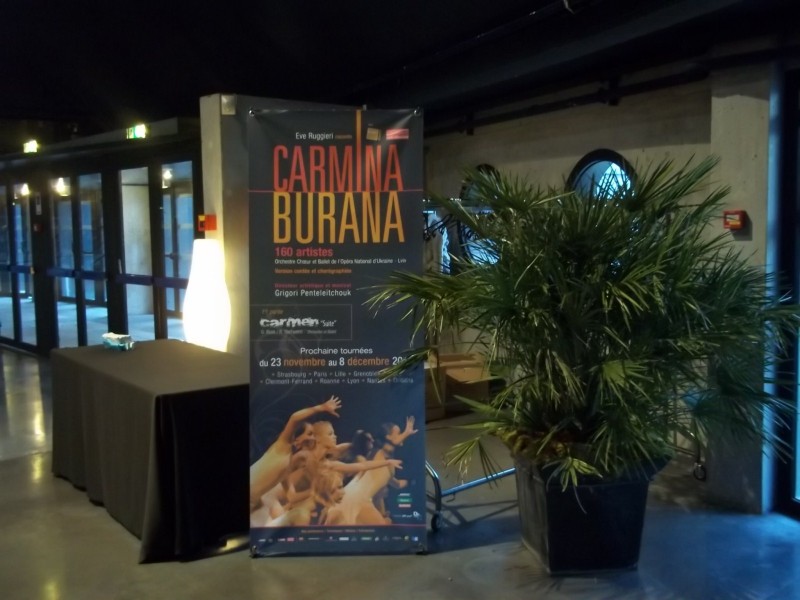 LOCATION  PLANTES FLEURS FESTIVAL OPERA SPECTACLE PACA MARSEILLE MONPTELLIER TOULOUSE