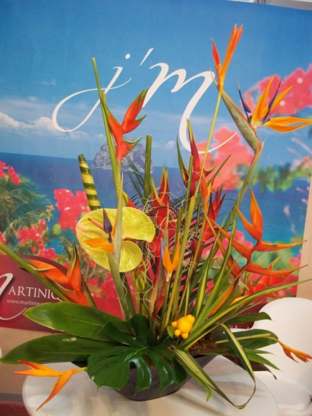 Décorations florales pour stand exposition salon sur Avignon