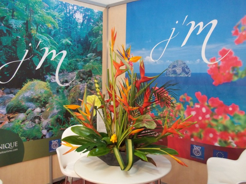 Décorations florales pour stand exposition salon sur Avignon