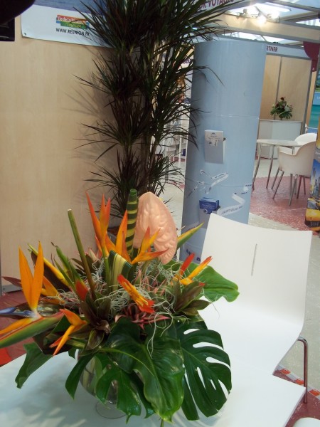 Décorations florales pour stand exposition salon sur Avignon
