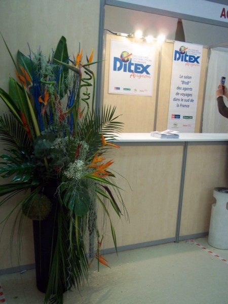 location de compositions florales pour salon d'exposition et location de plantes et bacs Avignon