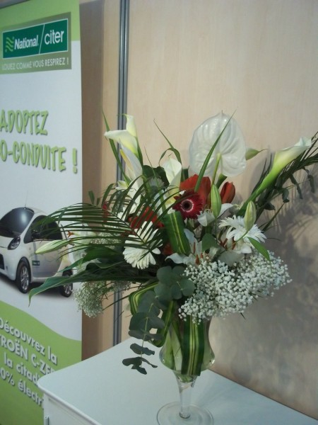 location de compositions florales pour salon d'exposition et location de plantes et bacs Avignon