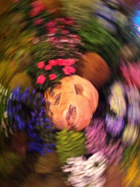 scène végétale decor de salon de stand exposition remise de prix marseille