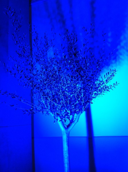 scène végétale decor de salon de stand exposition remise de prix marseille