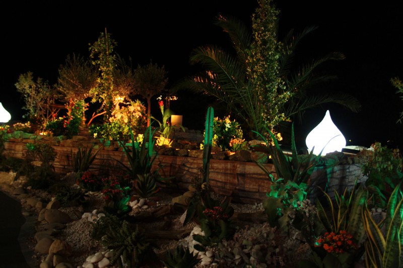 création de scène en location de plantes et fleurs pour évènements gala conventions