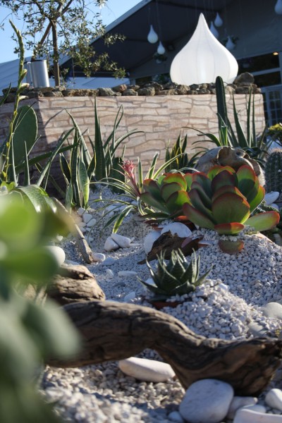 création de scène en location de plantes et fleurs pour évènements gala conventions