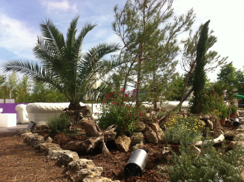 création de scène en location de plantes et fleurs pour évènements gala conventions