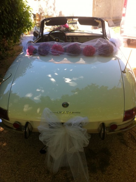 les hortensia ornent le capot de ce cabriolet avec juste un nœud de tulle sur l'arrière