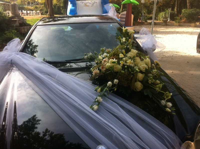 simple diagonale de large tulle ou Vé devant sur une belle limousine pour un style classe épuré