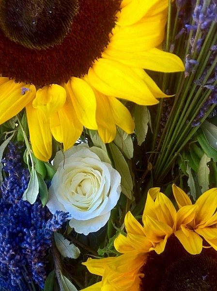 magnifique mariage des couleurs de la provence avec la lavande fraîche et les roses blanches