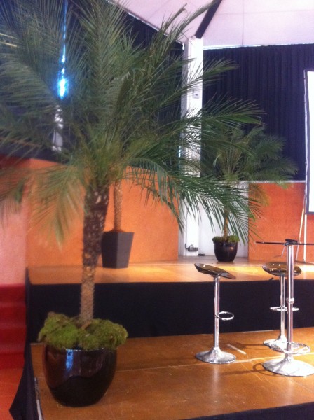 location de plantes et bacs décoratifs  pour évènements, salons, seminaire, soirées, gala, aix en provence marseille avignon et  PACA