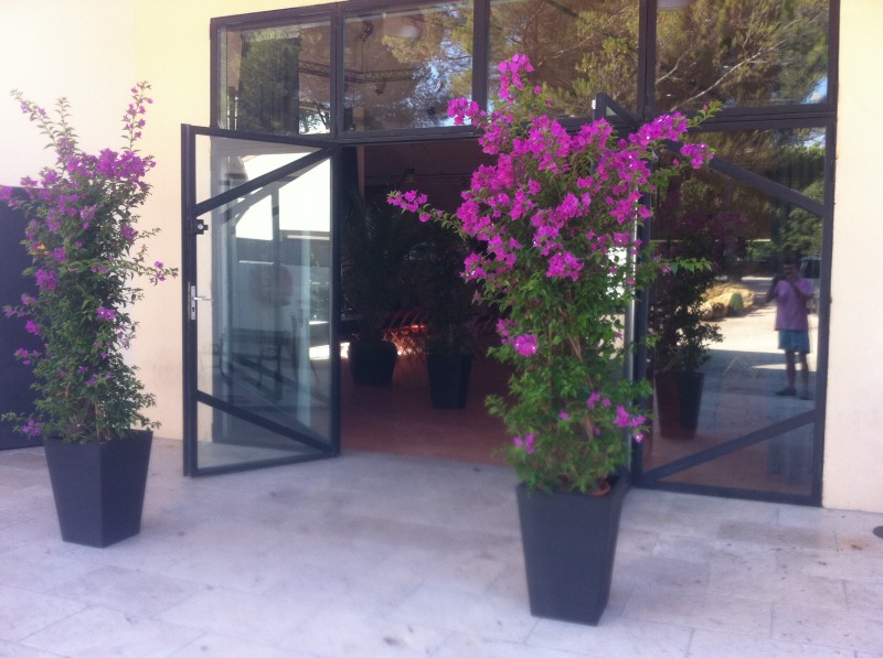 location de plantes et bacs décoratifs  pour évènements, salons, seminaire, soirées, gala, aix en provence marseille avignon et  PACA