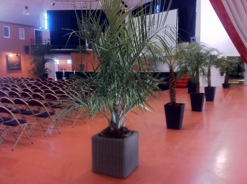 location de plantes et bacs décoratifs  pour évènements, salons, seminaire, soirées, gala, aix en provence marseille avignon et  PACA