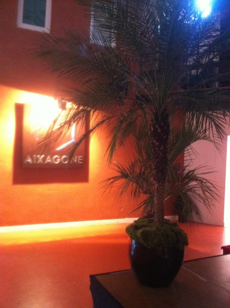 location de plantes et bacs décoratifs  pour évènements, salons, seminaire, soirées, gala, aix en provence marseille avignon et  PACA