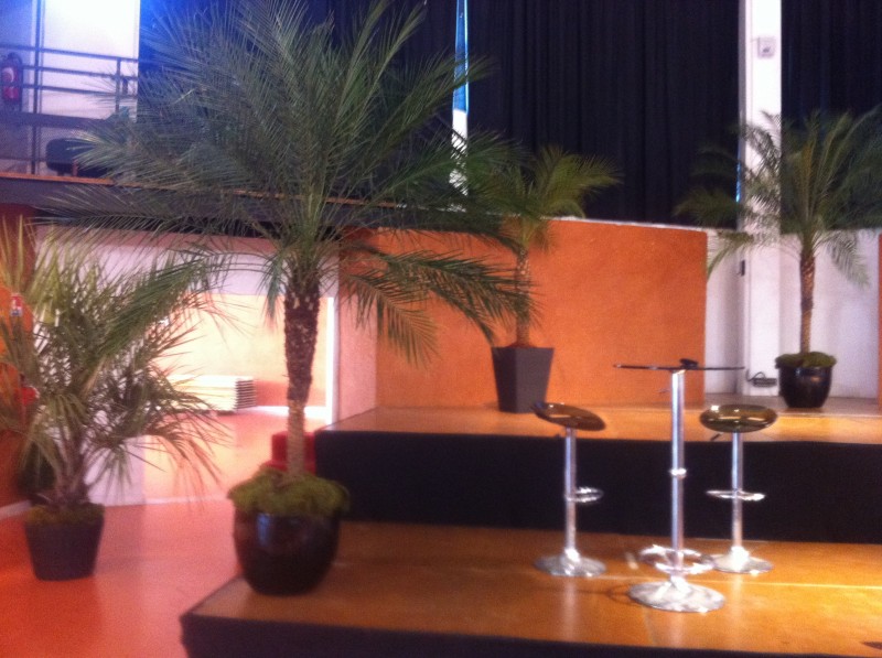 location de plantes et bacs décoratifs  pour évènements, salons, seminaire, soirées, gala, aix en provence marseille avignon et  PACA