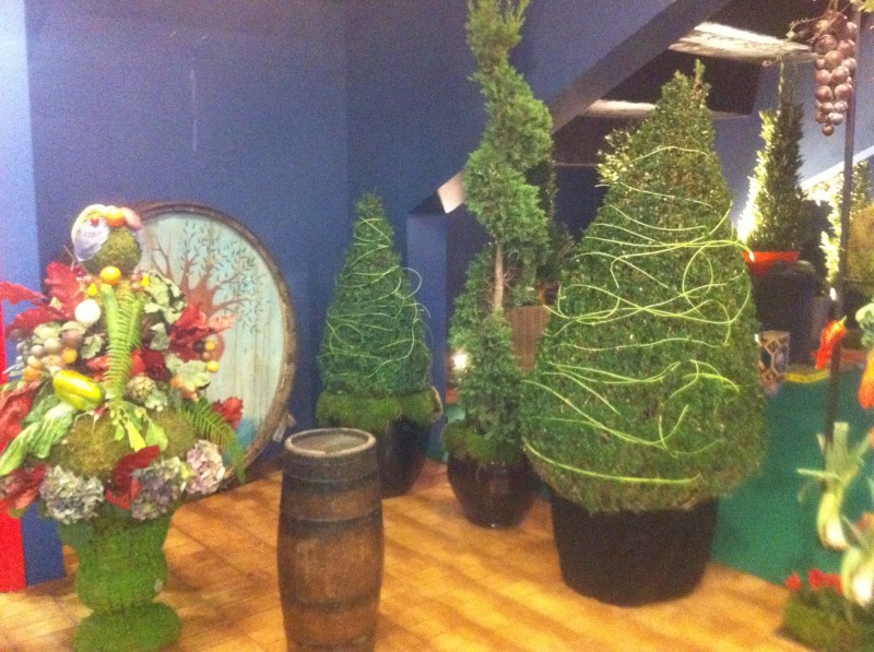 Scénographie de salon pour exposition salon Istres