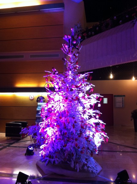 décor de façade noel Marignanne