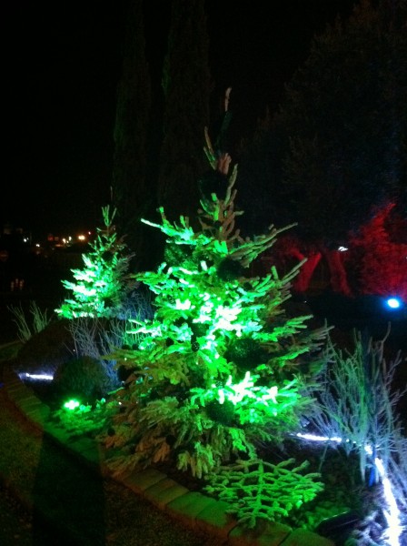 décor de noël pour façade de commerce Marignanne