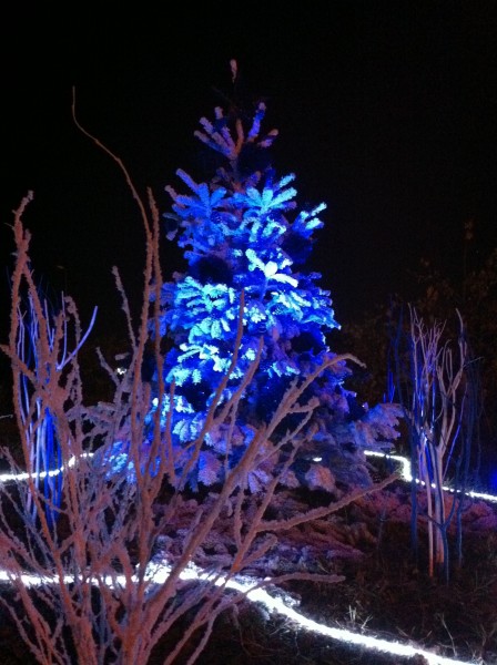 décor de noël pour façade de commerce Marignanne