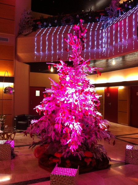 décor de noël pour façade de commerce Marignanne