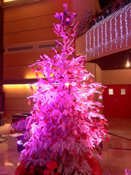 décor de noël pour façade de commerce Marignanne