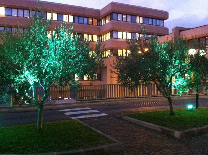 décor de noël pour façade de commerce Marignanne