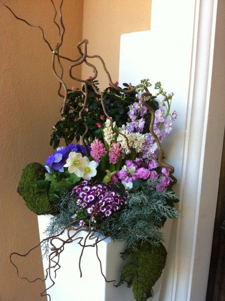 Décoration florale par abonnement ou vente pour salon exposition Avignon