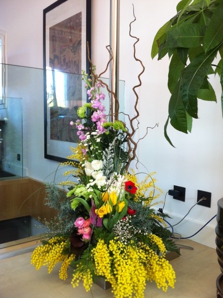 ABONNEMENT FLORAL PLANTE FLEUR LIVRAISON HEBDO MENSUELLE BOUCHES DU RHONE VAUCLUSE VAR