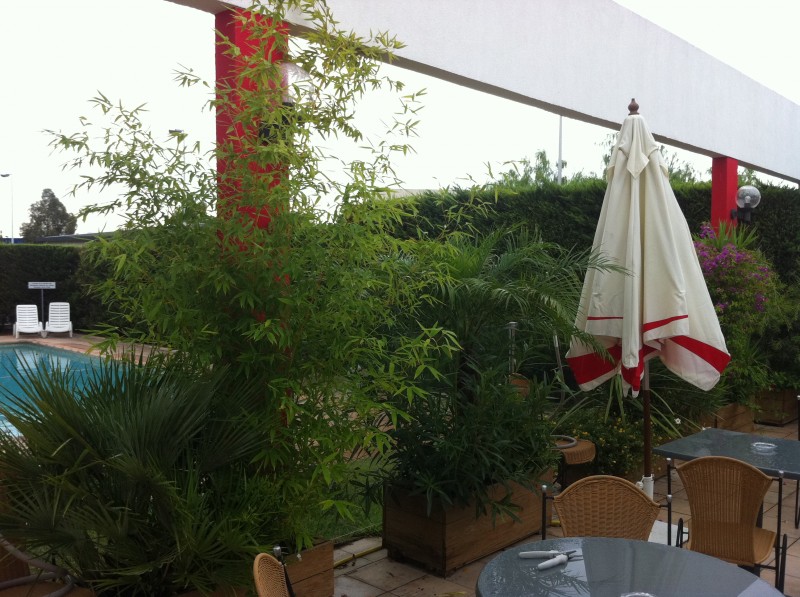 création de jardin en terrasse suspendue paysagiste à Salernes et dans le Var.