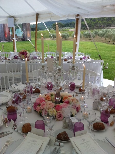 Les roses de anglaises pour les compositions florales