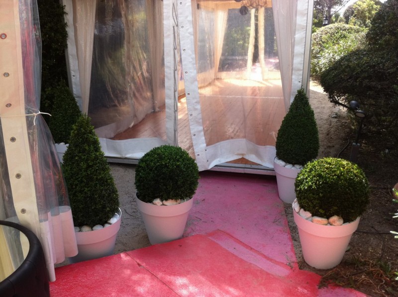 A Saint Aygulf, une allée nuptiale composée de plantes (buis boules et coniques, cyprès spirales, oliviers boule sur troncs,...) forme une haie d'honneur grandiose.