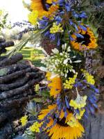 Nos prestations sur le secteur de Cannes Alpes-Maritimes