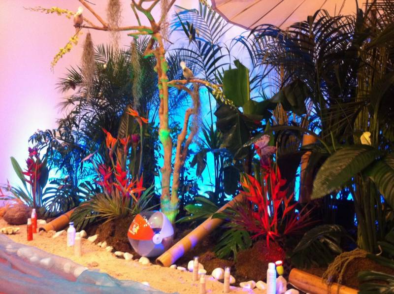 Notre zone d'activité pour ce service Décoration florale et plantes pour scène et podium pour centres de congrès, halls d'exposition et salles de spectacles