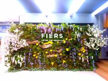 Notre zone d'activité pour ce service Création d'une ambiance tropicale pour un séminaire ou un événement professionnel