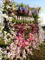 Nos prestations sur le secteur de Montpellier Hérault