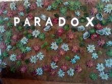 Nos prestations sur le secteur de Toulon Var